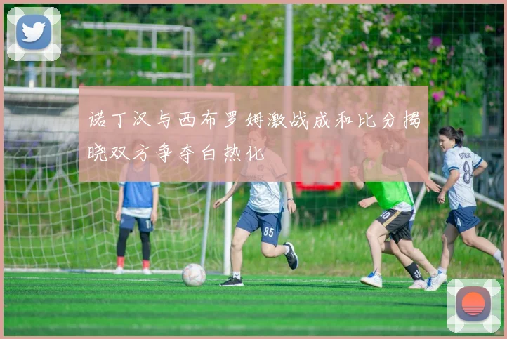 诺丁汉与西布罗姆激战成和比分揭晓双方争夺白热化
