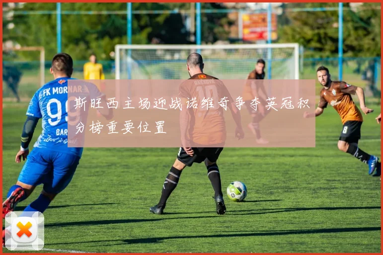斯旺西主场迎战诺维奇争夺英冠积分榜重要位置