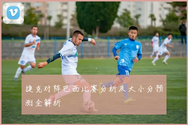 捷克对阵巴西比赛分析及大小分预测全解析