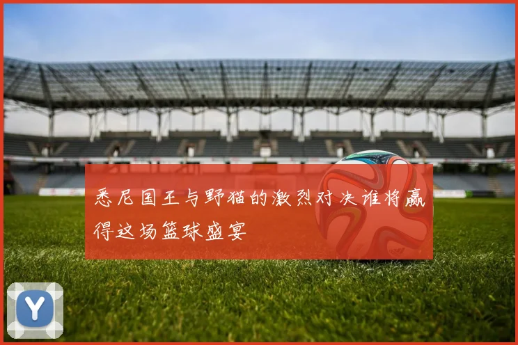 悉尼国王与野猫的激烈对决谁将赢得这场篮球盛宴