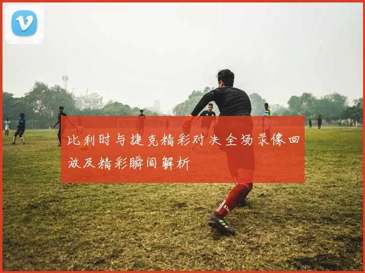 比利时与捷克精彩对决全场录像回放及精彩瞬间解析