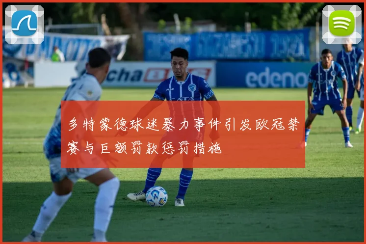 多特蒙德球迷暴力事件引发欧冠禁赛与巨额罚款惩罚措施