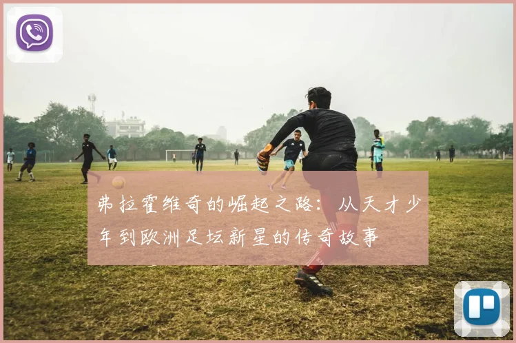 弗拉霍维奇的崛起之路：从天才少年到欧洲足坛新星的传奇故事