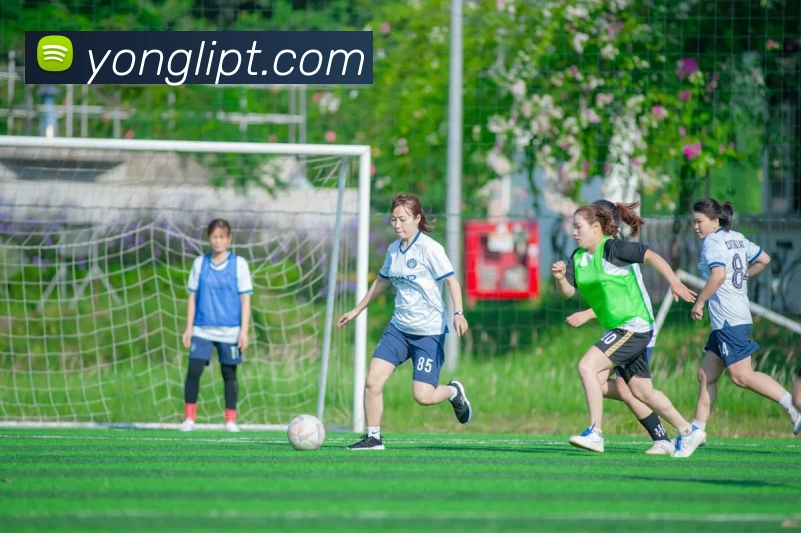 永利平台APP 高清赛事图